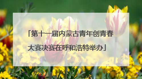 第十一届内蒙古青年创青春大赛决赛在呼和浩特举办