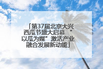 第37届北京大兴西瓜节盛大启幕 “以瓜为媒”激活产业融合发展新动能