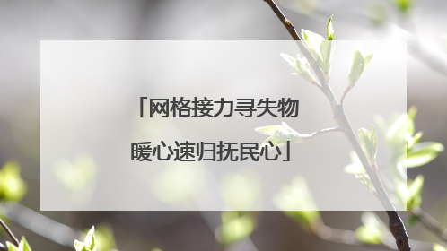 网格接力寻失物 暖心速归抚民心