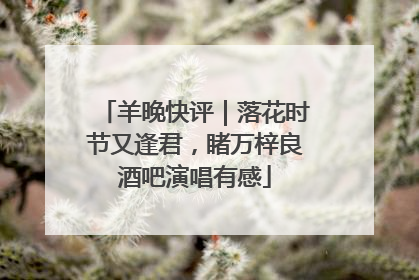 羊晚快评｜落花时节又逢君，睹万梓良酒吧演唱有感