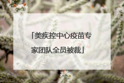 美疾控中心疫苗专家团队全员被裁