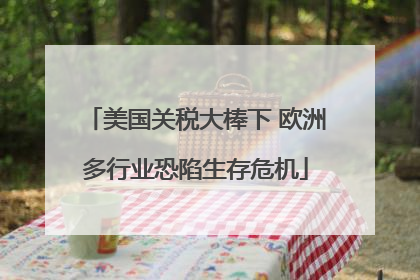 美国关税大棒下 欧洲多行业恐陷生存危机