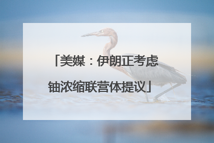 美媒：伊朗正考虑铀浓缩联营体提议