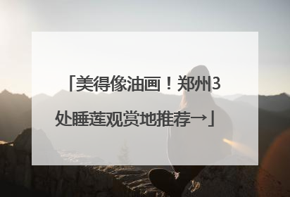 美得像油画！郑州3处睡莲观赏地推荐→