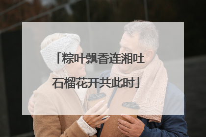 粽叶飘香连湘吐 石榴花开共此时