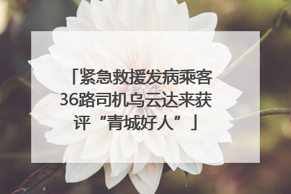 紧急救援发病乘客 36路司机乌云达来获评“青城好人”