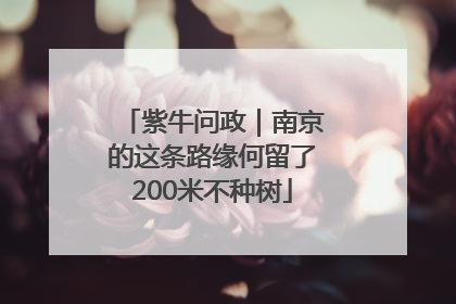 紫牛问政｜南京的这条路缘何留了200米不种树