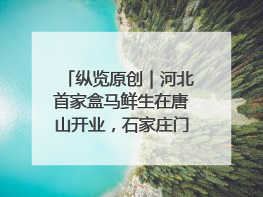 纵览原创｜河北首家盒马鲜生在唐山开业，石家庄门店预计8月开业
