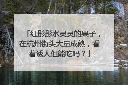 红彤彤水灵灵的果子，在杭州街头大量成熟，看着诱人但能吃吗？