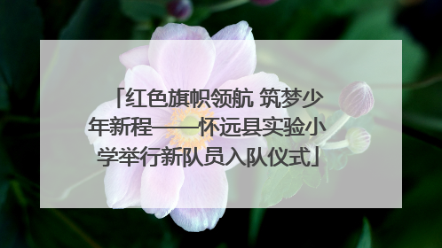 红色旗帜领航 筑梦少年新程——怀远县实验小学举行新队员入队仪式