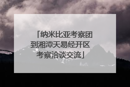纳米比亚考察团到湘潭天易经开区考察洽谈交流