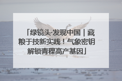 绿镜头·发现中国｜藏粮于技新实践！气象密钥解锁青稞高产基因
