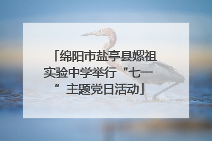 绵阳市盐亭县嫘祖实验中学举行“七一”主题党日活动