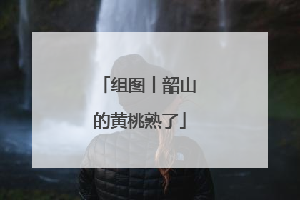 组图丨韶山的黄桃熟了