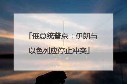 俄总统普京：伊朗与以色列应停止冲突