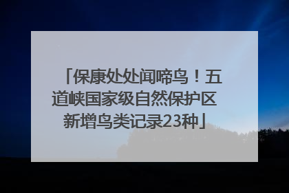 保康处处闻啼鸟！五道峡国家级自然保护区新增鸟类记录23种