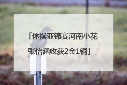 体操亚锦赛河南小花张怡涵收获2金1铜