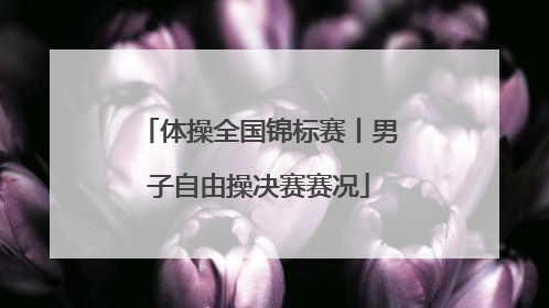体操全国锦标赛丨男子自由操决赛赛况