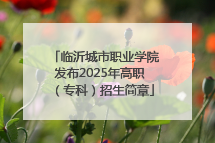 临沂城市职业学院发布2025年高职（专科）招生简章