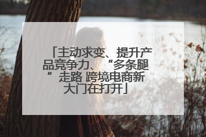 主动求变、提升产品竞争力、“多条腿”走路 跨境电商新大门在打开