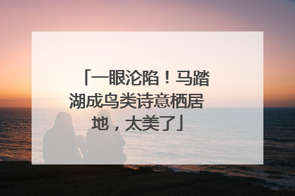 一眼沦陷！马踏湖成鸟类诗意栖居地，太美了