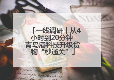 一线调研丨从4小时到20分钟 青岛港科技升级货物“秒通关”