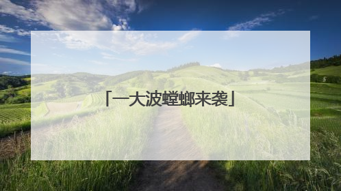 一大波螳螂来袭
