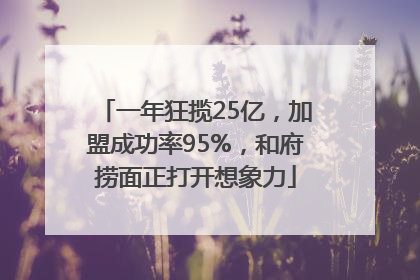 一年狂揽25亿，加盟成功率95%，和府捞面正打开想象力