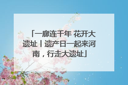 一廊连千年 花开大遗址丨遗产日一起来河南，行走大遗址