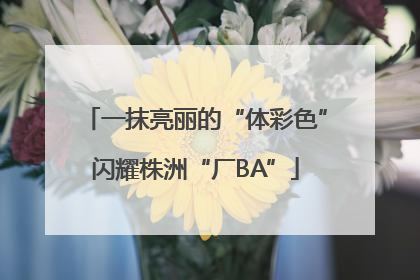 一抹亮丽的“体彩色”闪耀株洲“厂BA”