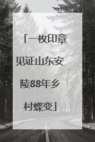 一枚印章见证山东安陵88年乡村蝶变