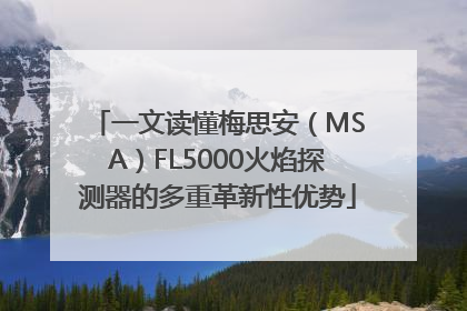 一文读懂梅思安（MSA）FL5000火焰探测器的多重革新性优势