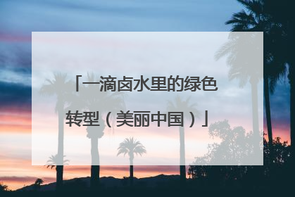 一滴卤水里的绿色转型（美丽中国）
