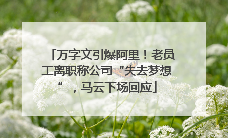 万字文引爆阿里！老员工离职称公司“失去梦想”，马云下场回应