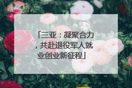 三亚：凝聚合力，共赴退役军人就业创业新征程