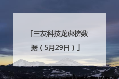 三友科技龙虎榜数据（5月29日）