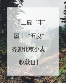三夏“丰”景｜“五良”齐迎北京小麦收获日