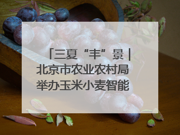 三夏“丰”景｜北京市农业农村局举办玉米小麦智能农机装备推广“田间日”活动