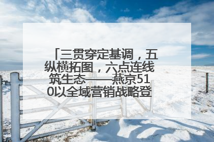 三贯穿定基调，五纵横拓图，六点连线筑生态——燕京510以全域营销战略登顶行业IP新高度