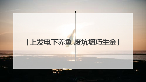 上发电下养鱼 废坑塘巧生金