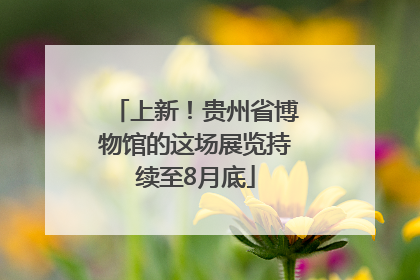 上新！贵州省博物馆的这场展览持续至8月底