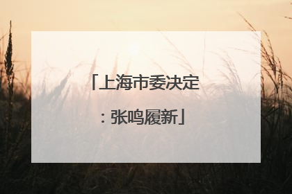 上海市委决定：张鸣履新