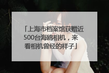 上海市档案馆获赠近500台海鸥相机，来看相机曾经的样子