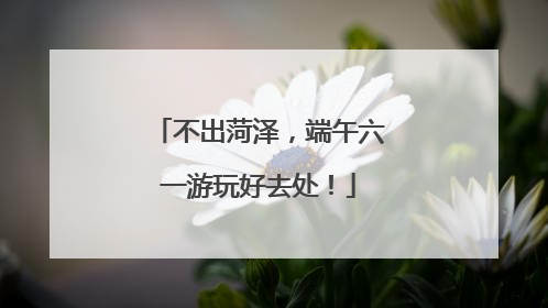 不出菏泽，端午六一游玩好去处！