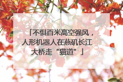不惧百米高空强风，人形机器人在燕矶长江大桥走“猫道”