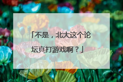 不是，北大这个论坛真打游戏啊？