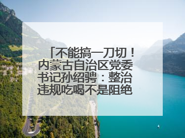不能搞一刀切！内蒙古自治区党委书记孙绍骋：整治违规吃喝不是阻绝正常人际交往、黯淡人间烟火