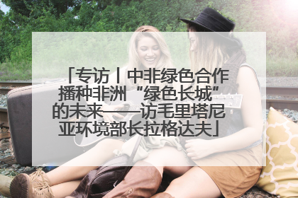 专访丨中非绿色合作播种非洲“绿色长城”的未来——访毛里塔尼亚环境部长拉格达夫