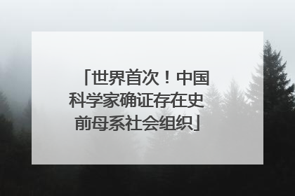 世界首次！中国科学家确证存在史前母系社会组织
