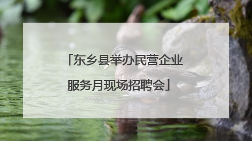 东乡县举办民营企业服务月现场招聘会